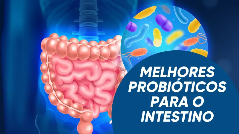 Descubra quais os Melhores Probióticos Para o Intestino