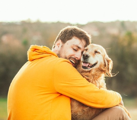 Tenha em Cachorro Comportado após o Adestramento de Cães